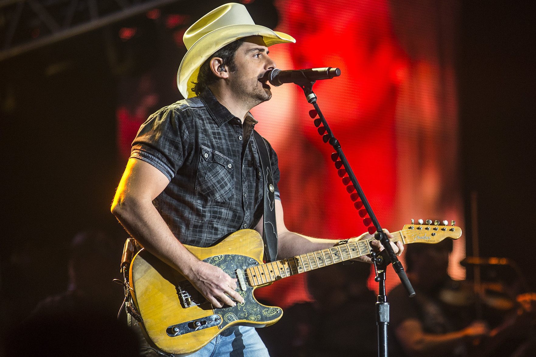 3. Brad Paisley